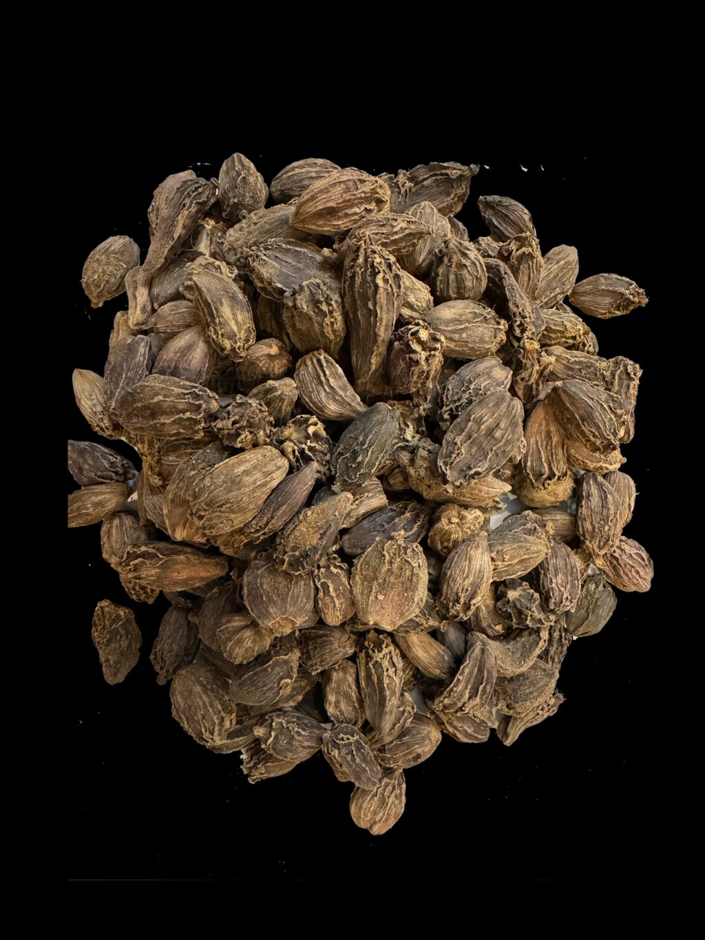 Premium Black Cardamom in Pala, Kerala - Wellshine Distributors