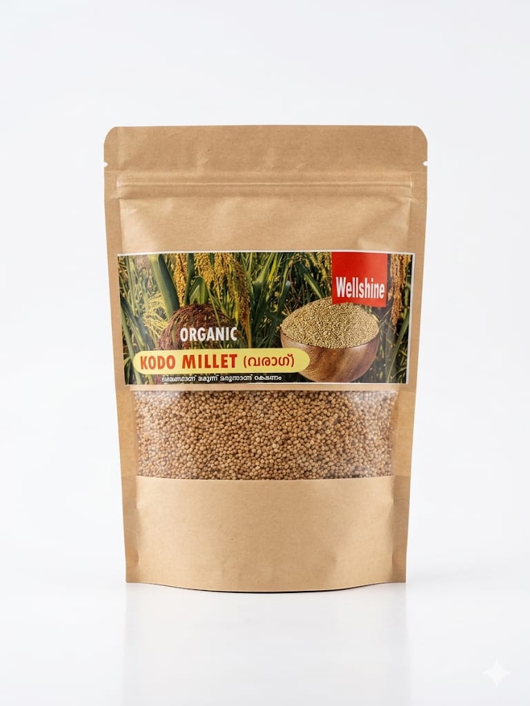 Kodo Millet Premium Grain in Pala, Kerala - Wellshine Distributors