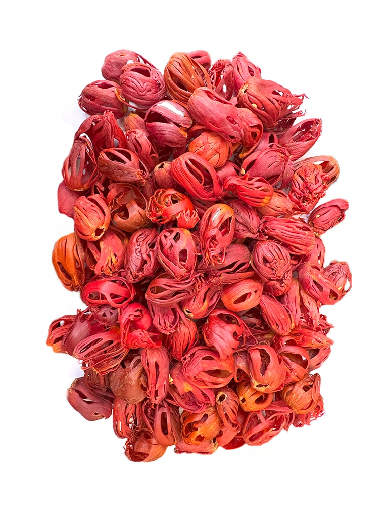 Premium Mace Flower in Pala, Kerala - Wellshine Distributors