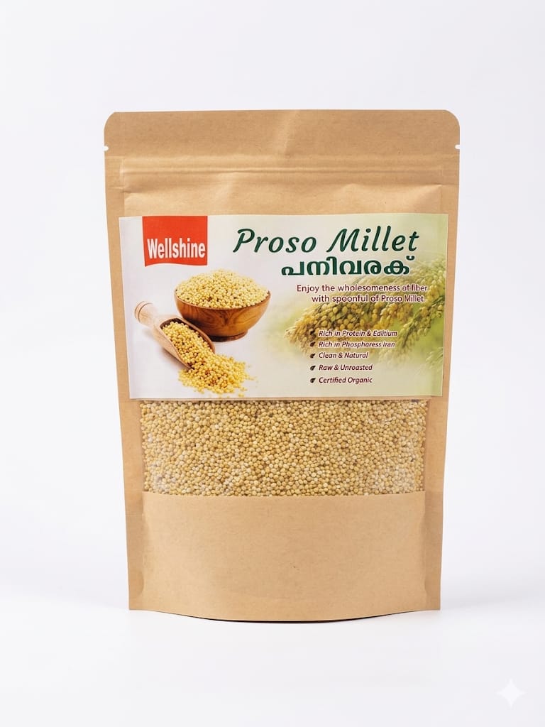 Proso Millet Premium Grain in Pala, Kerala - Wellshine Distributors