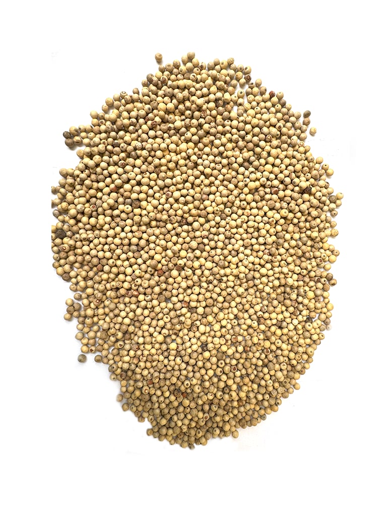 Premium White Pepper in Pala, Kerala - Wellshine Distributors